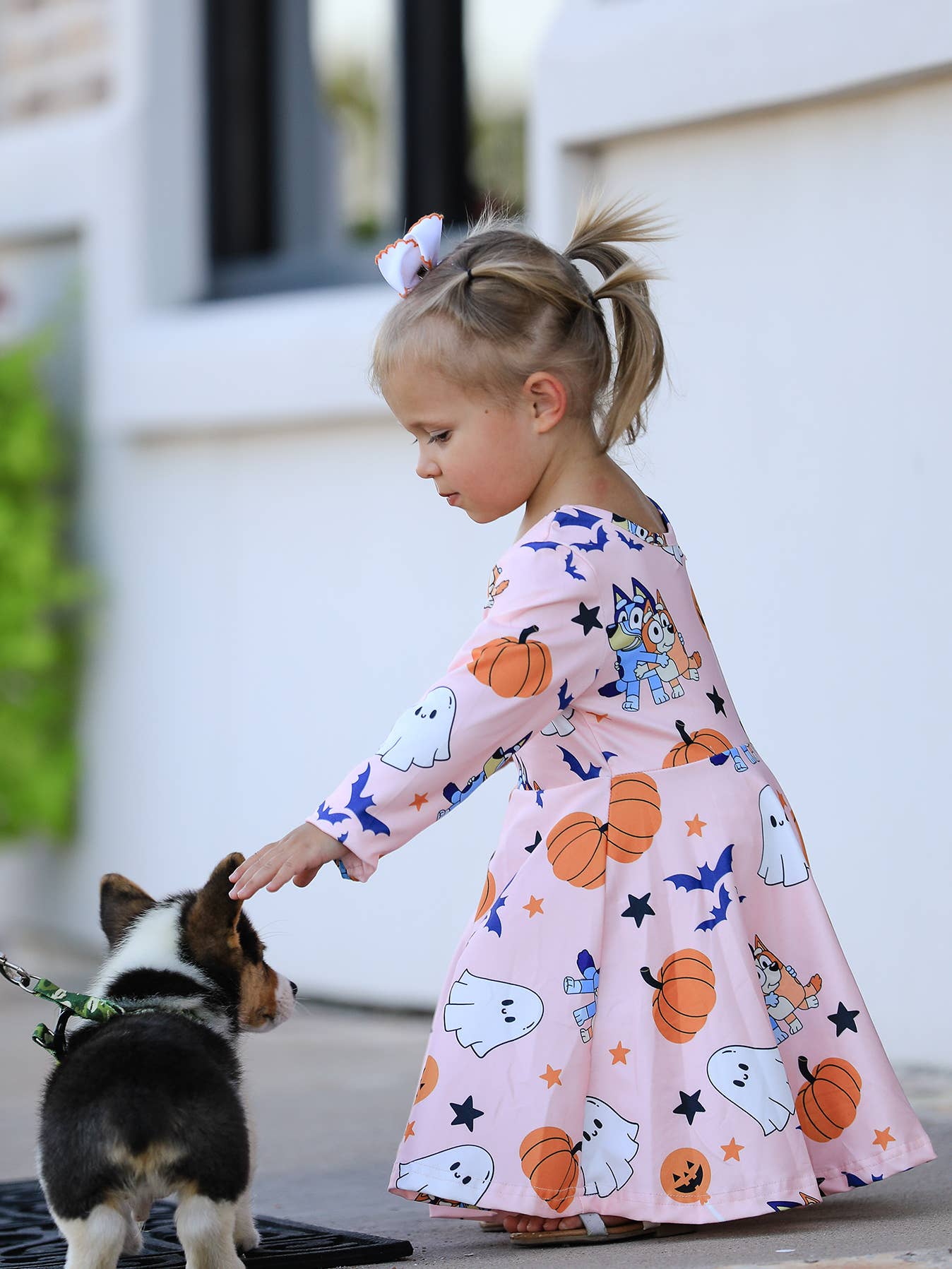 Girls Long Sleeve Pumpkin Character Dress